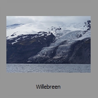 Willebreen